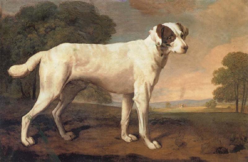 George Stubbs Dog oil painting image
